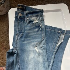 Indigo Rein Jeans